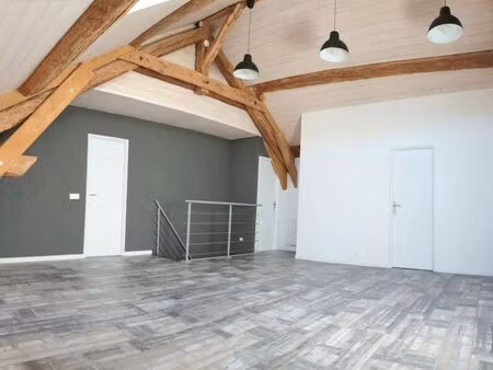 appartement lumineux entièrement rénové