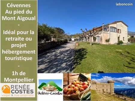 maison en viager 7 pièces 262 m²