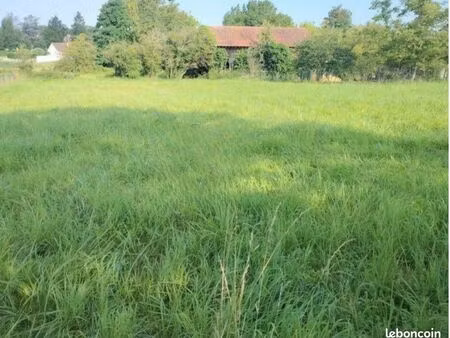 terrain constructible