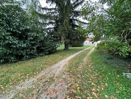 terrain 3 900 m² binges