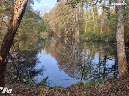 local divers 6670 m² courtemaux