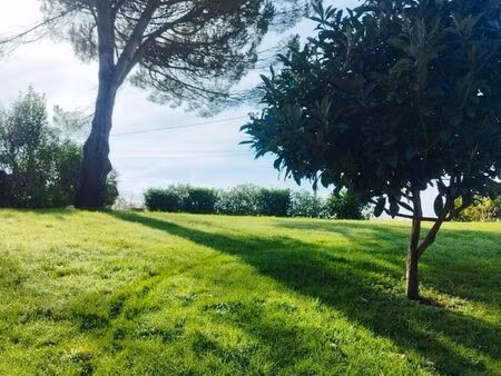 terrain constructible