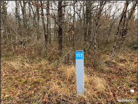 terrain 1302 m² mornac