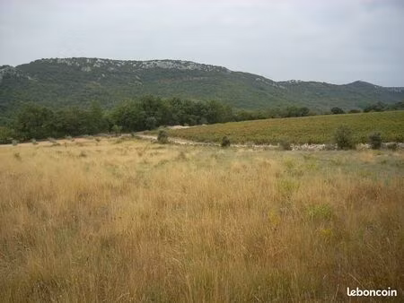 terrain agricole ou de loisir à saint andré de buéges