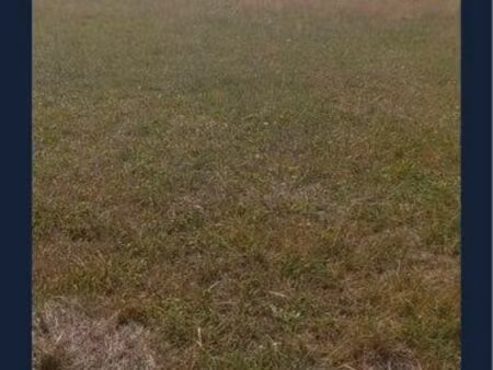 terrain – 2 parcelles – 3 600 m²