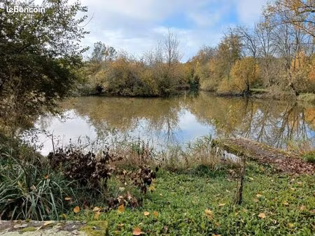etang de 5000 m2 avec grand terrain