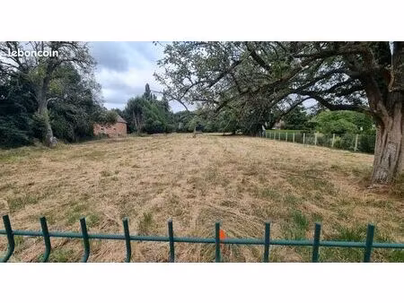 terrain 1605 m² emalleville