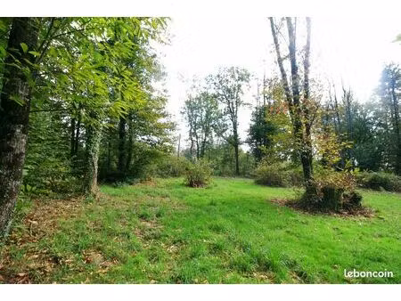 terrain 3200 m² plazac