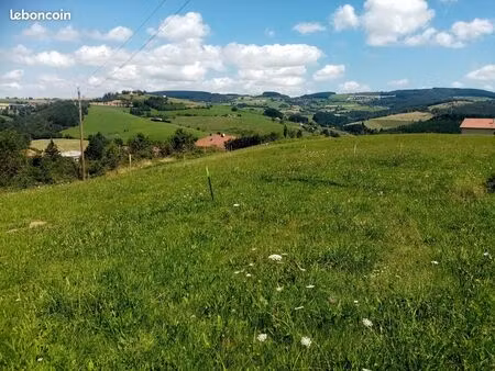 terrain viabilise 1000 m2 50000