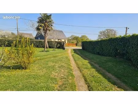 terrain costructible donges