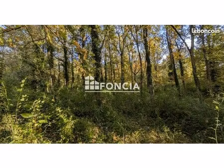 forêt 1 066 m² poligny