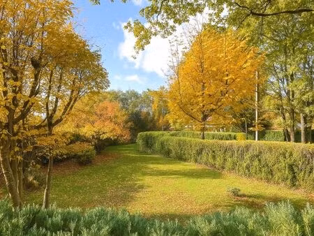 terrain 734 m² dammarie les lys