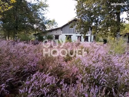 maison 4 pièces 181 m²