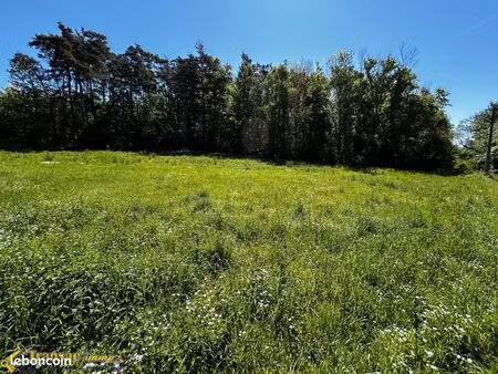 terrain 2300 m² paslières