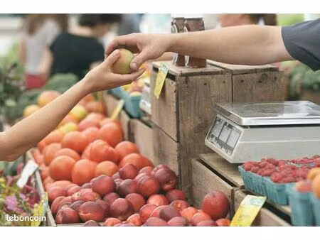 local commercial 200 m² auray