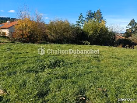 terrain 1453 m² saint haon le chatel