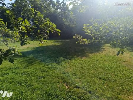 terrain 1036 m² donges