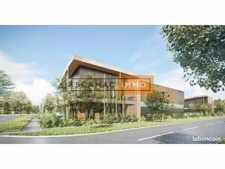 local d'activité 394 m²