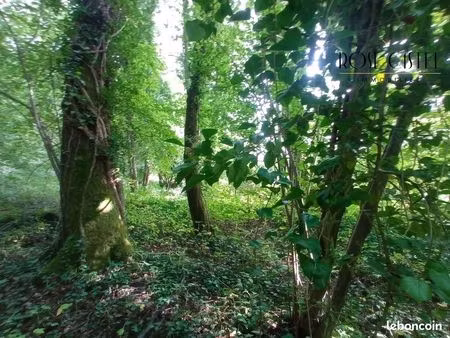 terrain 4800 m² nogent-le-phaye