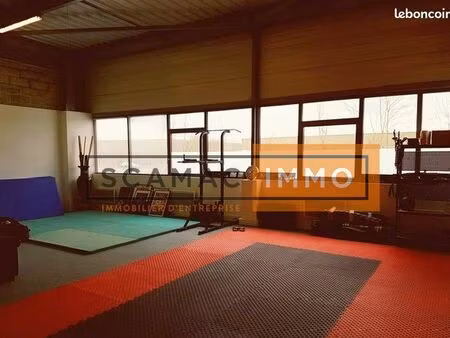 local d'activité 290 m²