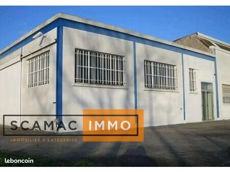 local d'activité 535 m²