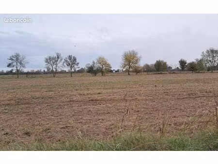 terrain en zone artisanale