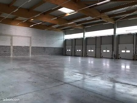 local industriel 784 m²