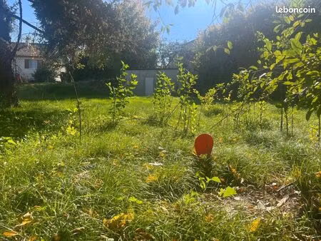 terrain 966 m² montamisé