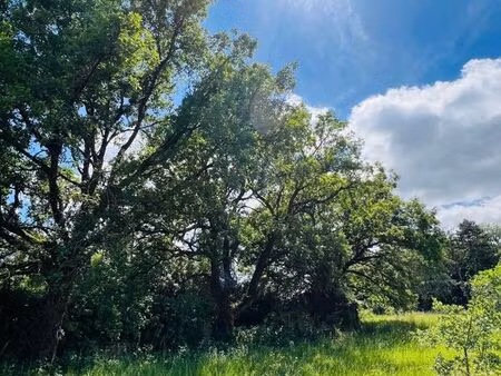 terrain 1131 m² migné-auxances