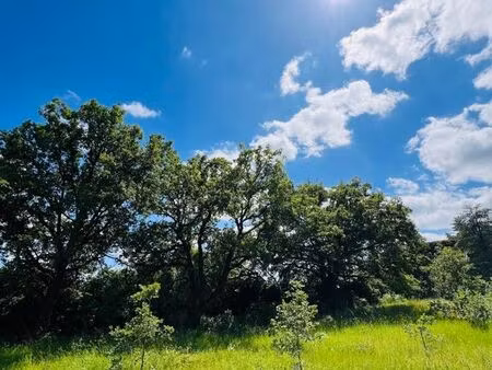 terrain 987 m² migné-auxances