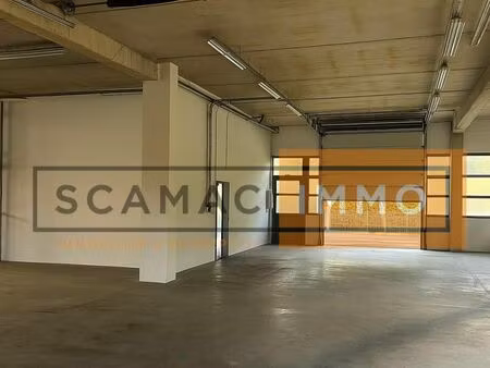 local d'activité 529 m²