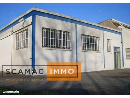 local d'activité 535 m²