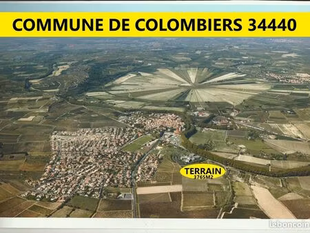 terrain borné 3765m2 résèrve fonciere