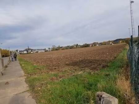 hotton: terrain pour lotissement 4 86 hectares à vendre