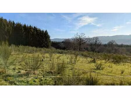 terrain vielsalm petit thier