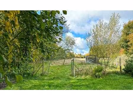 grand terrain de charme le long du ruisseau de salle