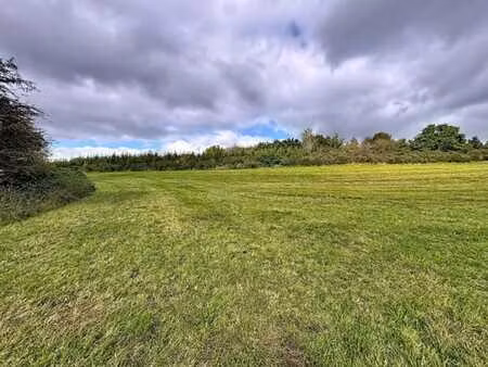 magnifique terrain de 49a 12ca à filly.