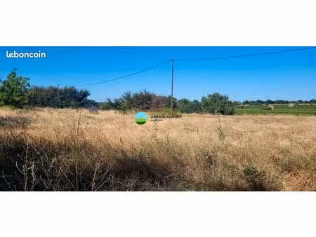 terrain 5590 m² mazan