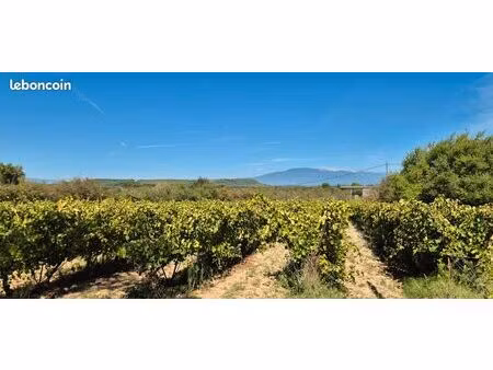 parcelle vigne vue ventoux a pernes les fontaines 3000m