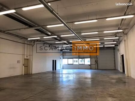 local d'activité 1 251 m²