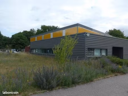 local d'activité 595 m²