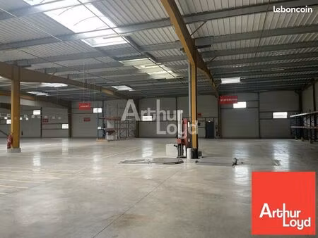 local d'activité 3 000 m²