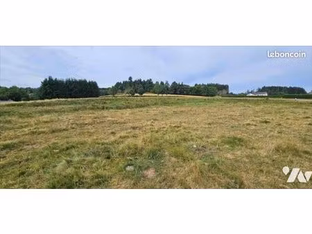 terrain 21360 m² tence