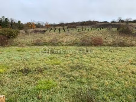 terrain de 1 784 m² à andryes