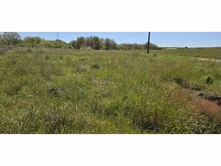 lagardelle sur léze  terrain constructible plat d'environ 550 m