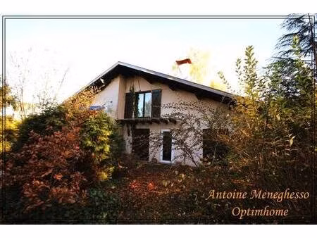 monsieur antoine meneghesso