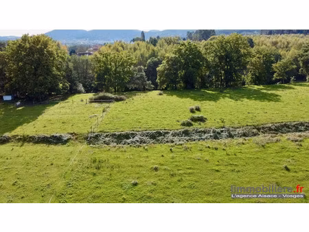 vente terrain 9050 m² à taintrux (88100)  18 500 €