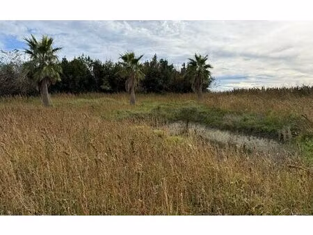 terrain semussac m² t- à vendre  180 200 €