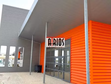 local d'activité 290 m²