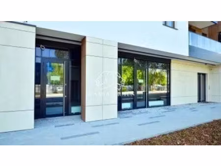 murs craponne 208 m2